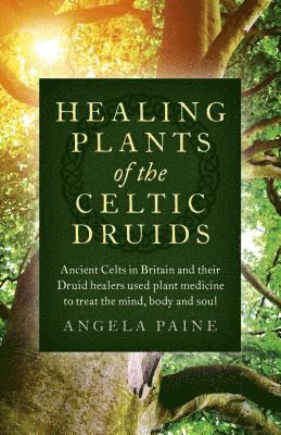 Healing Plants of the Celtic Druids 1