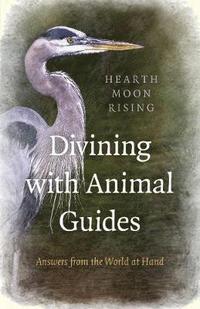 bokomslag Divining with Animal Guides  Answers from the World at Hand