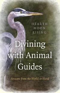 bokomslag Divining with Animal Guides - Answers from the World at Hand