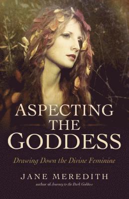 Jane Meredith - Aspecting the Goddess, Häftad