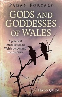 bokomslag Pagan Portals - Gods and Goddesses of Wales