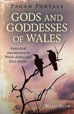 Pagan Portals - Gods and Goddesses of Wales 1
