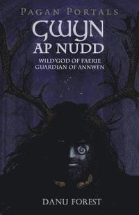 bokomslag Pagan Portals - Gwyn ap Nudd - Wild god of Faery, Guardian of Annwfn