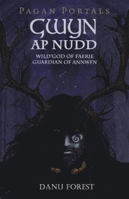 Pagan Portals - Gwyn ap Nudd - Wild god of Faery, Guardian of Annwfn 1