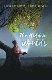 bokomslag Hidden Worlds, The