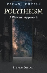 bokomslag Pagan Portals - Polytheism: A Platonic Approach