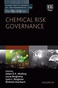 bokomslag Chemical Risk Governance