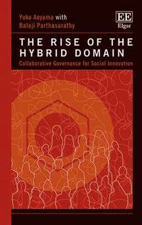 bokomslag The Rise of the Hybrid Domain