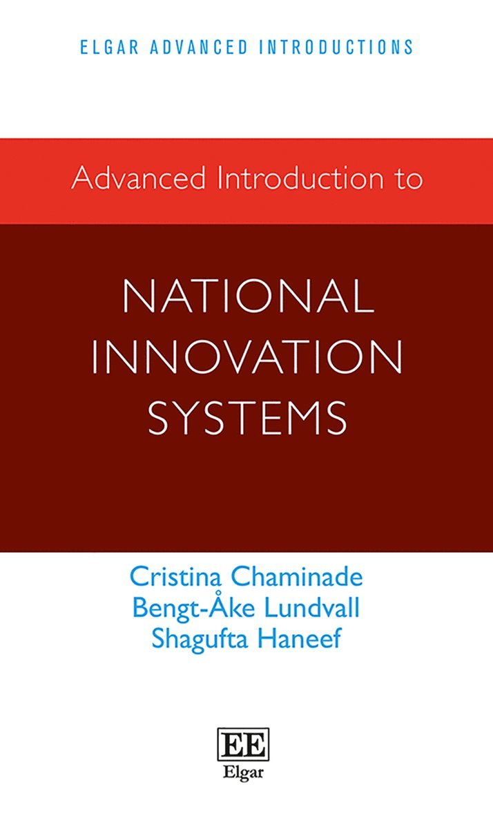 Advanced Introduction to National Innovation Systems