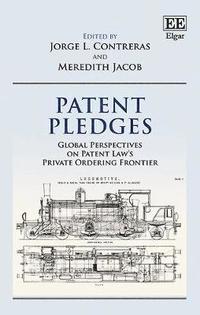 bokomslag Patent Pledges