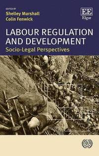 bokomslag Labour Regulation and Development