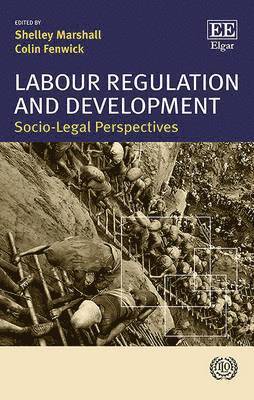 Shelley Marshall, Colin Fenwick - Labour Regulation and Development, Inbunden