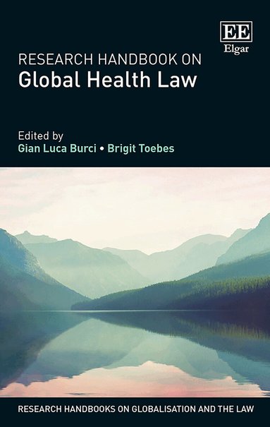 Gian Luca Burci, Brigit Toebes - Research Handbook on Global Health Law, Inbunden