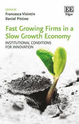 Francesca Visintin, Daniel Pittino - Fast Growing Firms in a Slow Growth Economy, Inbunden