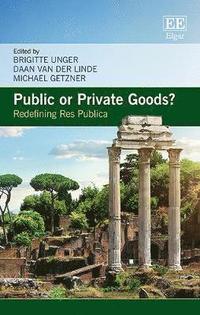 bokomslag Public or Private Goods?