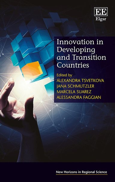 Alexandra Tsvetkova, Jana Schmutzler, Marcela Suarez, Alessandra Faggian - Innovation in Developing and Transition Countries, Inbunden