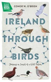 bokomslag Ireland Through Birds