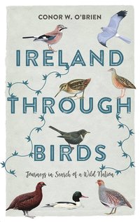 bokomslag Ireland Through Birds