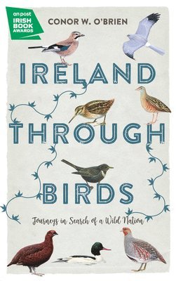 Ireland Through Birds 1