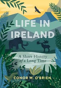 bokomslag Life in Ireland