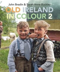 bokomslag Old Ireland in Colour 2
