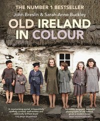 bokomslag Old Ireland in Colour