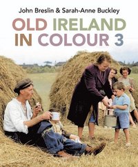 bokomslag Old Ireland in Colour 3