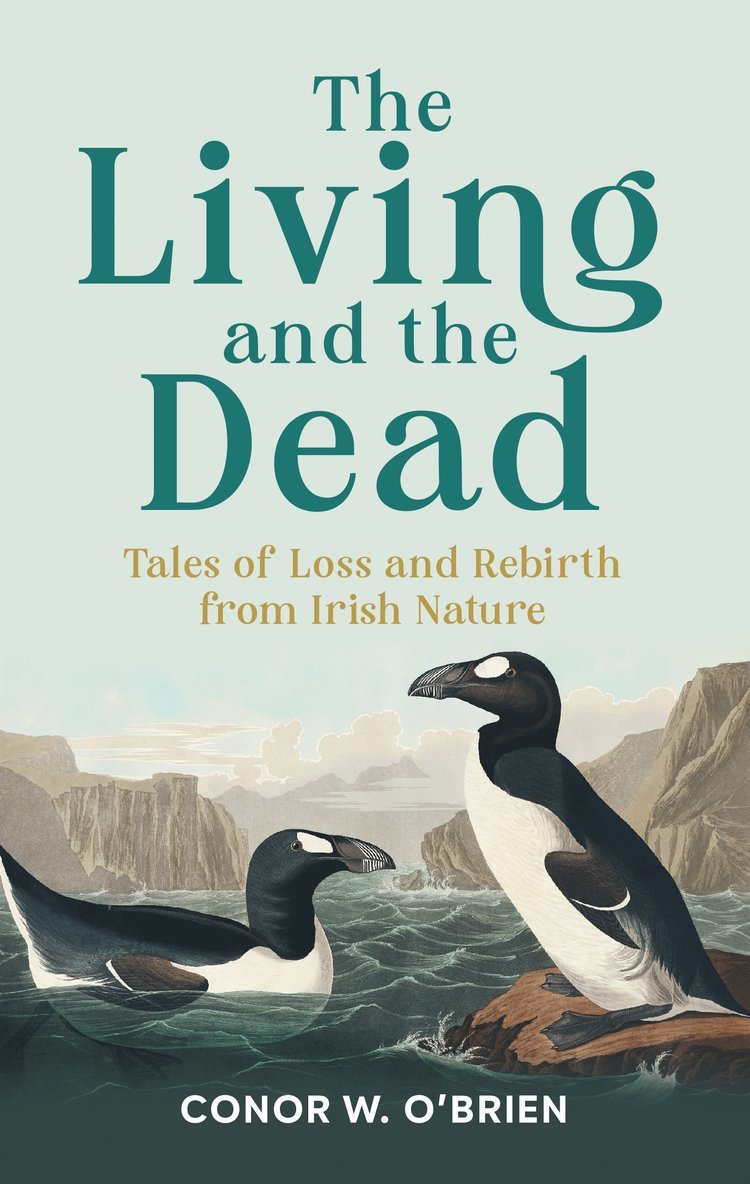Conor W. O'Brien, Conor W O'Brien - The Living and the Dead, Häftad