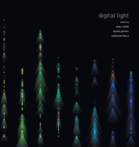 bokomslag Digital Light