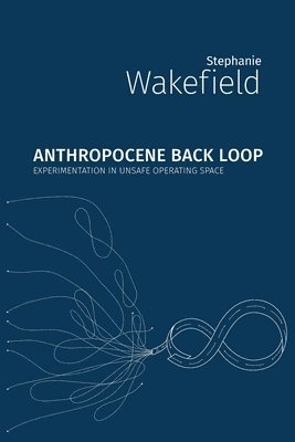 bokomslag Anthropocene Backloop