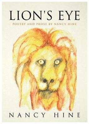 bokomslag Lion's Eye