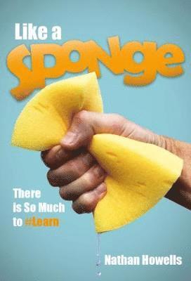 Like a Sponge 1