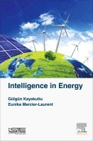 G�lg�n Kayakutlu, Eunika Mercier-Laurent - Intelligence in Energy, Inbunden