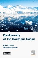 bokomslag Biodiversity of the Southern Ocean