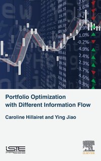 bokomslag Portfolio Optimization with Different Information Flow