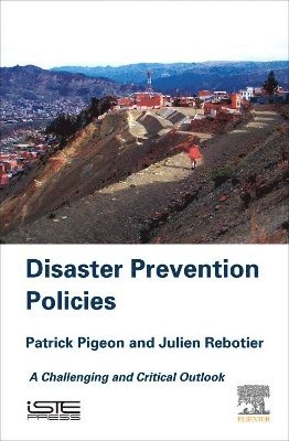 bokomslag Disaster Prevention Policies