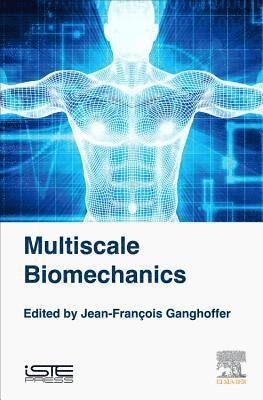 bokomslag Multiscale Biomechanics