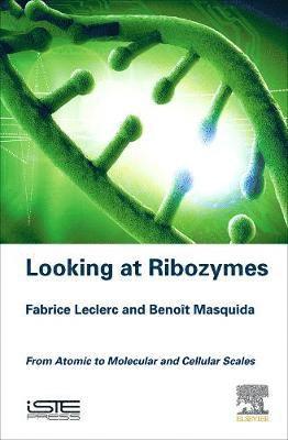 Fabrice Leclerc, Benoît Masquida - Looking at Ribozymes: From Atomic to Molecular and Cellular Scales, Inbunden