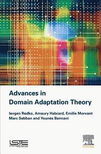bokomslag Advances in Domain Adaptation Theory