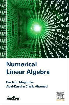 Frederic Magoules, Abal-Kassim Cheik Ahamed - Numerical Linear Algebra, Inbunden