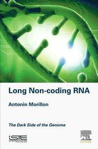 bokomslag Long Non-coding RNA