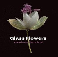 bokomslag Glass Flowers