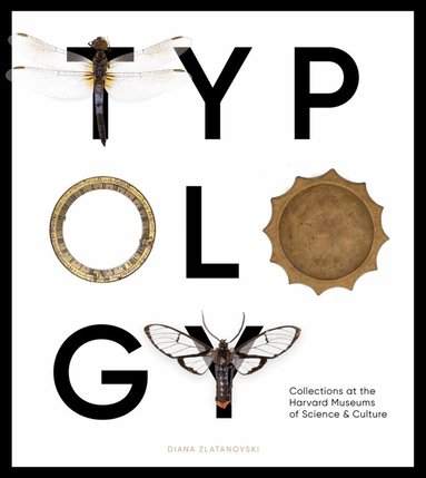 Diana Zlatanovski - Typology, Häftad