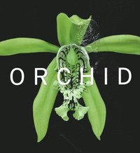 bokomslag ORCHID