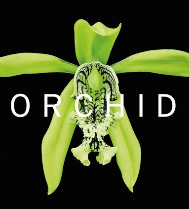 bokomslag ORCHID