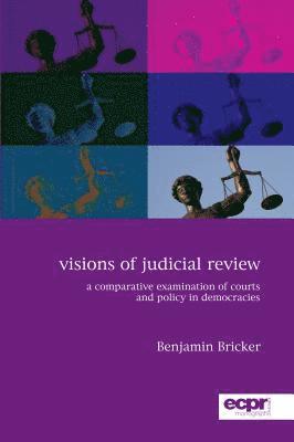 bokomslag Visions of Judicial Review