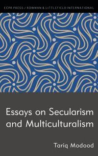 bokomslag Essays on Secularism and Multiculturalism