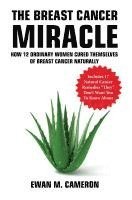 bokomslag Breast Cancer Miracle