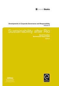 bokomslag Sustainability after Rio
