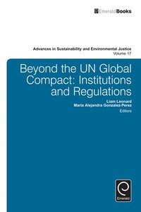 bokomslag Beyond the UN Global Compact